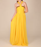 Red Carpet Silk Chiffon Halter Neck Gown